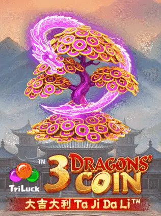 3 Dragons' Coin